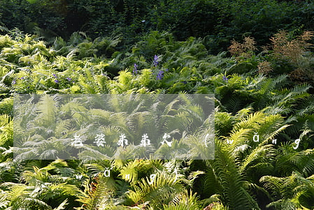 老婆弟弟欠網(wǎng)貸(弟弟欠了網(wǎng)貸)