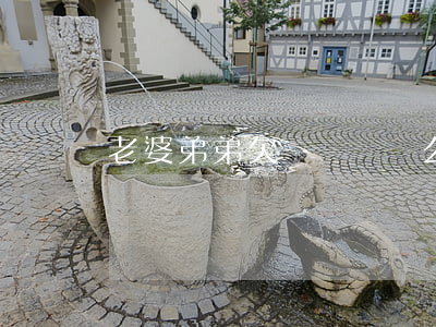 老婆弟弟欠網貸該幫么(弟弟網貸欠錢)