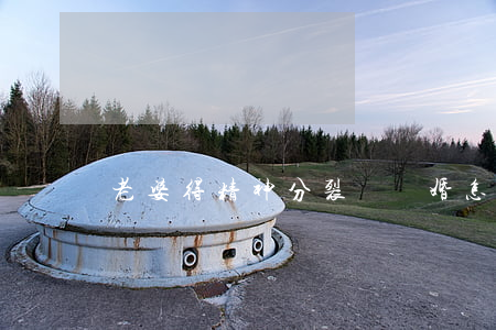 老婆得精神分裂癥離婚怎么辦