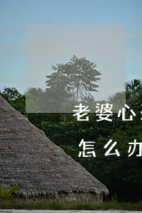 老婆心死了想离婚怎么办(一心想离婚的女人怎么办)
