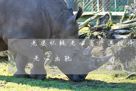 老婆怀疑老公有外遇被停信用卡-老婆怀疑老公出轨