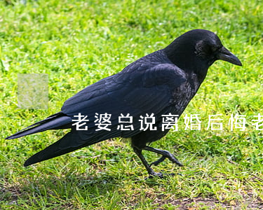 老婆总说离婚后悔(老婆总是说离婚)