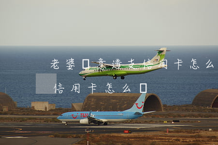 老婆惡意透支信用卡怎么辦(被起訴惡意透支信用卡怎么辦)