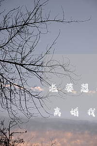 老婆想离婚我不想离婚的最好办法(老公不想离婚我想离婚怎么办)