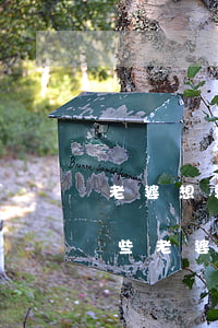 老婆想要和你離婚的表現(xiàn)有哪些(老婆想和你離婚的特征)