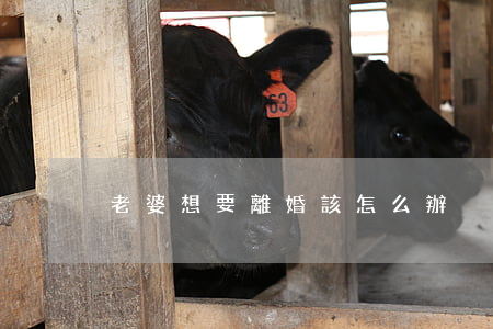 老婆想要離婚該怎么辦