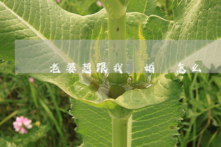 老婆想跟我離婚該怎么辦