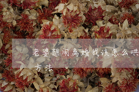 老婆想闹离婚我该怎么哄(解决老婆闹离婚的方法)