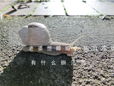 老婆想離婚9個月不提(我想離婚老婆不肯離,有什么辦法嗎)