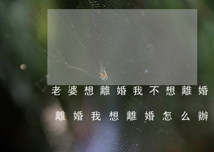 老婆想離婚我不想離婚的最好辦法(老公不想離婚我想離婚怎么辦)