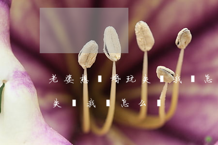 老婆想離婚玩失蹤我該怎么辦(老婆想離婚玩失蹤我該怎么辦)