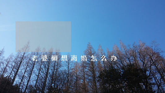 老婆懒想离婚怎么办