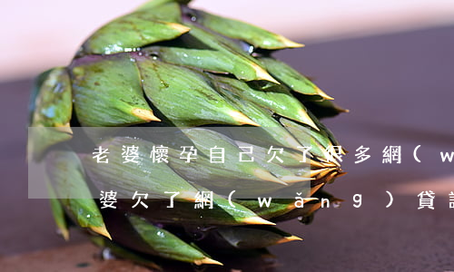 老婆懷孕自己欠了很多網(wǎng)貸(老婆欠了網(wǎng)貸該怎么辦)