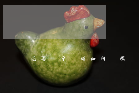 老婆懷孕離婚如何處理