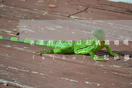 老婆打人可以起訴離婚嗎(我打了老婆,老婆現(xiàn)在起訴離婚我該怎么辦?)
