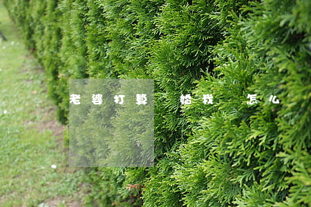 老婆打算離婚我該怎么辦