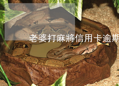 老婆打麻將信用卡逾期找老公還賬