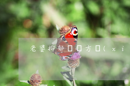 老婆抑郁癥雙方協(xié)議離婚怎么辦