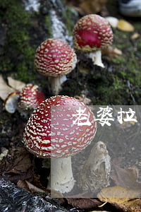 老婆拉黑微信起訴離婚-老婆微信拉黑老公