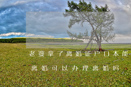 老婆拿了离婚证户口本能离婚吗(户口本上是离婚可以办理离婚吗)