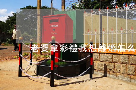 老婆拿彩禮我想離婚怎么辦