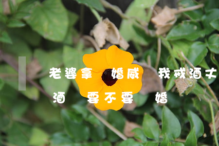 老婆拿離婚威脅我戒酒(丈夫酗酒發(fā)酒瘋要不要離婚)