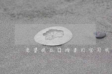 老婆提出離婚要打官司我該怎么辦