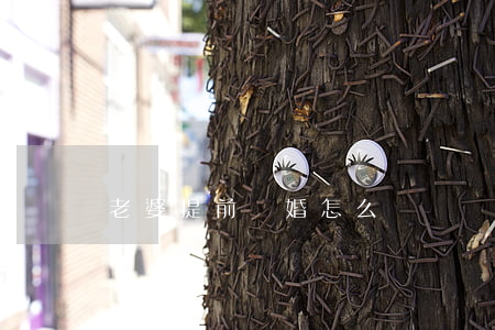 老婆提前離婚怎么辦