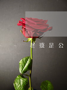 老婆是公司干部離婚了怎么辦