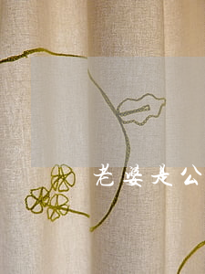 老婆是公司干部離婚怎么辦