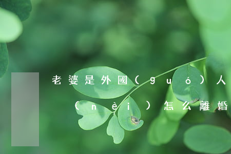 老婆是外國(guó)人不在國(guó)內(nèi)怎么離婚(外國(guó)人和中國(guó)人離婚還能夠在中國(guó)嗎)