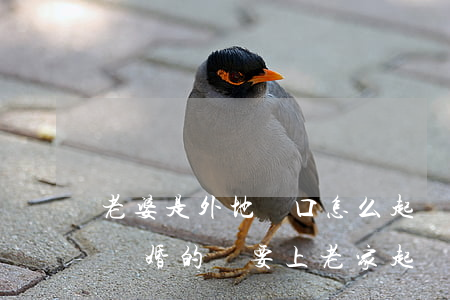 老婆是外地戶口怎么起訴離婚(外地戶口起訴離婚的話要上老家起訴嗎)