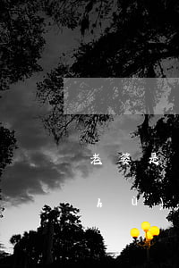 老婆是戶(hù)主還不起貸款(老婆是戶(hù)主還不起貸款能離婚嗎)