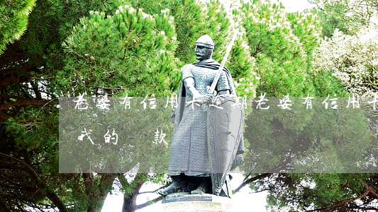 老婆有信用卡逾期(老婆有信用卡逾期會影響我的貸款嗎)