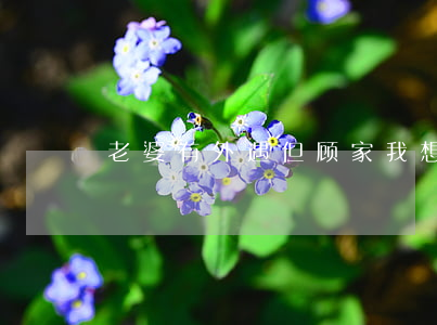 老婆有外遇但顾家我想离婚怎么办