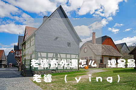 老婆有外遇怎么處理是最好辦法(老公有外遇老婆應(yīng)該怎么辦)