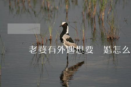 老婆有外遇想要離婚怎么辦