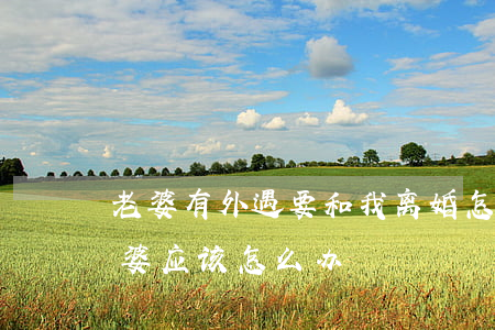 老婆有外遇 要和我离婚怎么办(老公有外遇老婆应该怎么办)