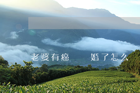 老婆有癌癥離婚了怎么辦