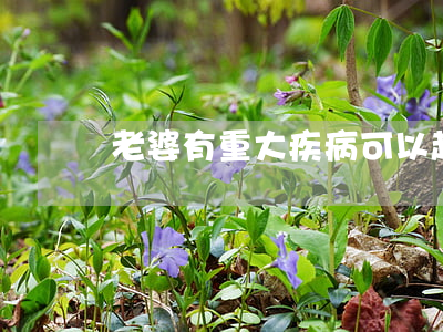 老婆有重大疾病可以起訴離婚嗎