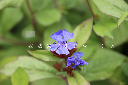 老婆欠了12w網(wǎng)貸