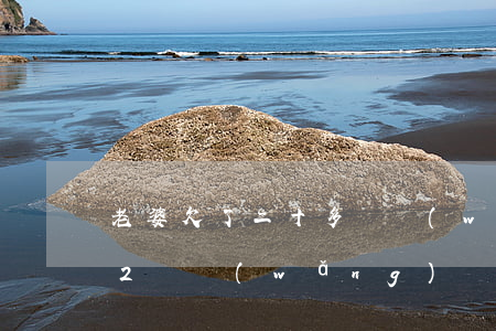 老婆欠了二十多萬網(wǎng)貸(欠了22萬網(wǎng)貸)