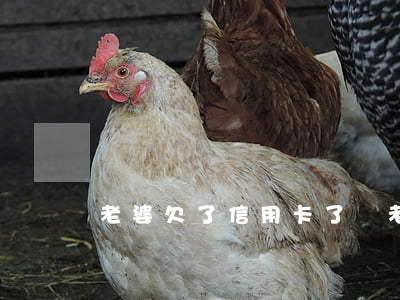 老婆欠了信用卡了錢 老婆欠了信用卡了錢