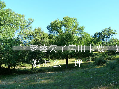 老婆欠了信用卡要離婚(老婆欠了信用卡要離婚怎么處理)
