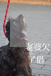 老婆欠了借唄還不上會找老公還嗎-老婆欠了借唄還不上會找老公還嗎怎么辦
