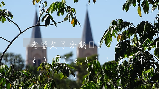 老婆欠了分期樂(lè)怎么辦(分期樂(lè)實(shí)在還不上怎么辦)