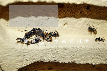 老婆欠了十萬信用卡