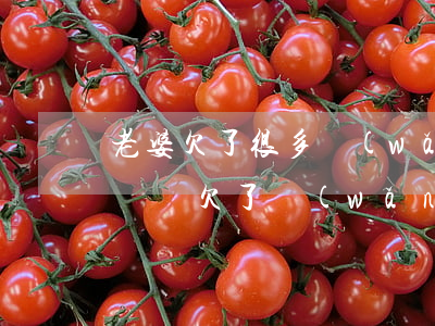 老婆欠了很多網(wǎng)貸怎么跟老公認錯(欠了網(wǎng)貸要不要告訴老公)