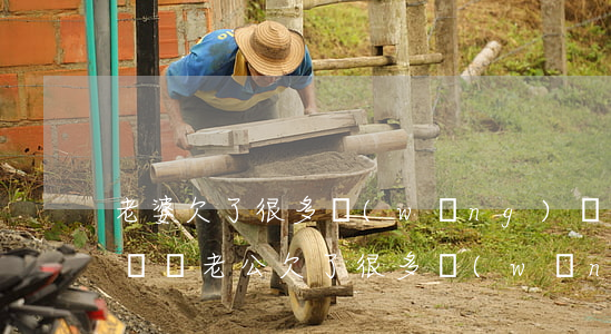 老婆欠了很多網(wǎng)貸離婚后我要還嗎(老公欠了很多網(wǎng)貸離婚怎么離)