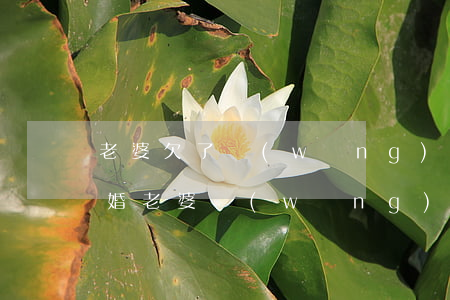 老婆欠了網(wǎng)貸40萬該不該離婚(老婆網(wǎng)貸要不要離婚)